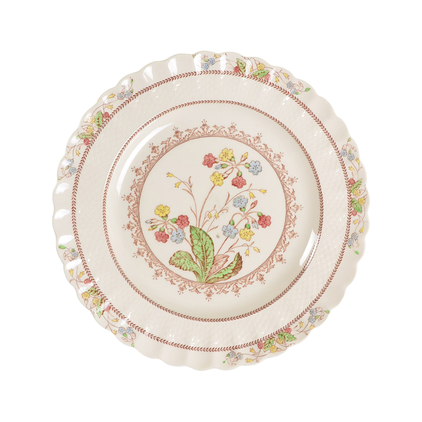 Cowslip dinner plate by Spode